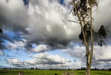 姆巴佩又踢失罚球 皇马不敌毕尔巴鄂失主动权.