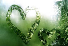 皮克福德代表英格兰出场75次，并列队史门将第二位.