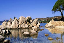 蓝鲸体育：小基耶萨禁区外远射破门！打入红军生涯首球.